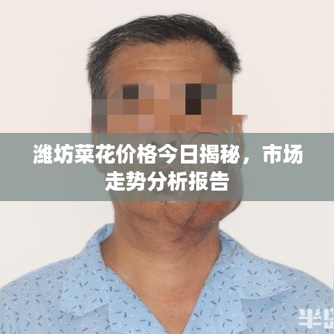 花容月貌 第2页