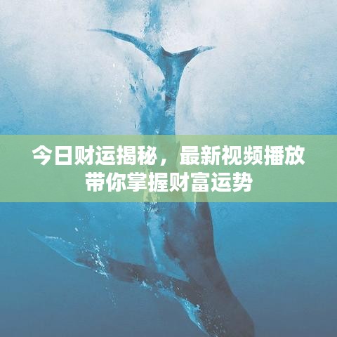 今日财运揭秘，最新视频播放带你掌握财富运势