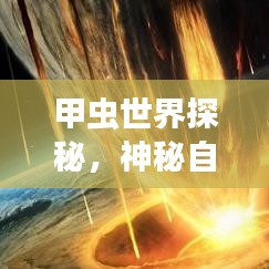 甲虫世界探秘，神秘自然宝藏的旅游攻略