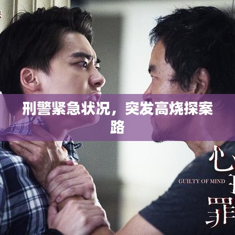 刑警紧急状况，突发高烧探案路