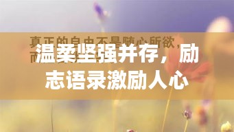 温柔坚强并存，励志语录激励人心