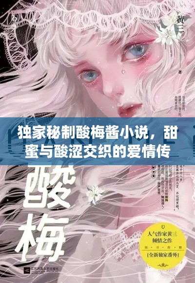 独家秘制酸梅酱小说，甜蜜与酸涩交织的爱情传奇