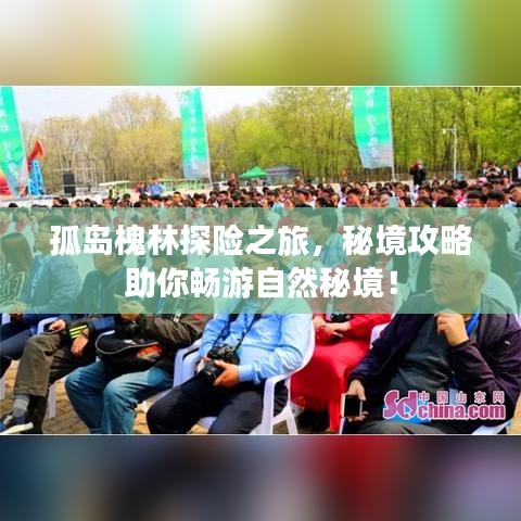 孤岛槐林探险之旅，秘境攻略助你畅游自然秘境！