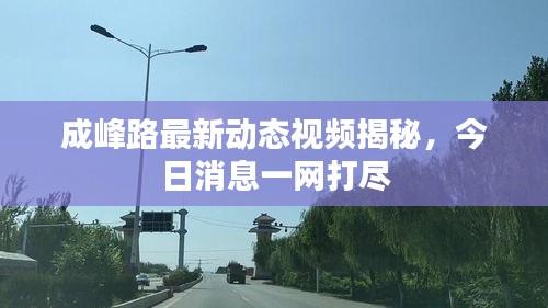 成峰路最新动态视频揭秘，今日消息一网打尽