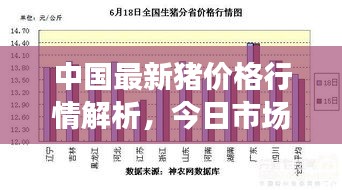 中国最新猪价格行情解析，今日市场走势分析