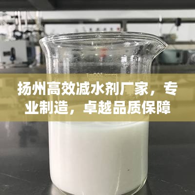 扬州高效减水剂厂家，专业制造，卓越品质保障