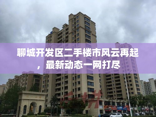 聊城开发区二手楼市风云再起，最新动态一网打尽