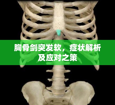 胸骨剑突发软，症状解析及应对之策
