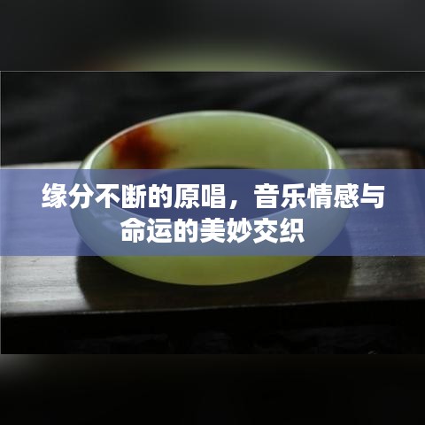 缘分不断的原唱，音乐情感与命运的美妙交织