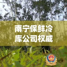 南宁保鲜冷库公司权威排名榜单揭晓！