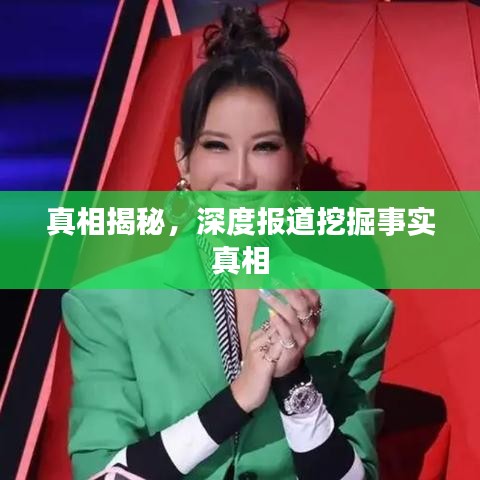 真相揭秘，深度报道挖掘事实真相