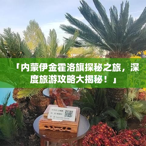 「内蒙伊金霍洛旗探秘之旅，深度旅游攻略大揭秘！」