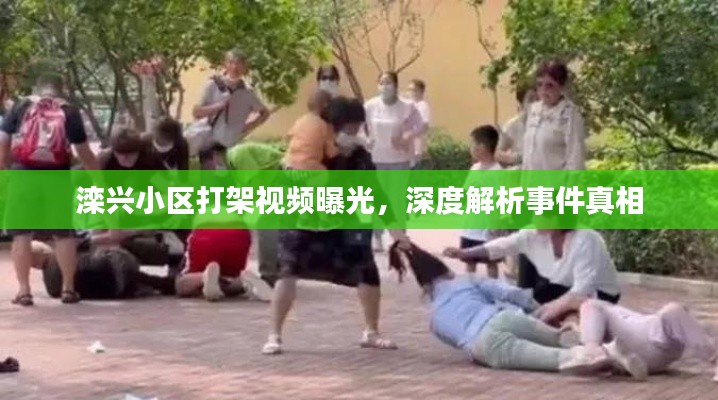 难得可贵 第2页