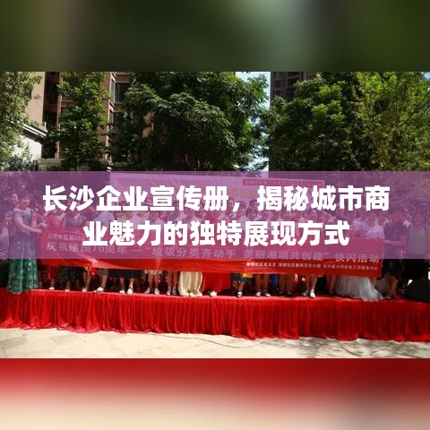 长沙企业宣传册，揭秘城市商业魅力的独特展现方式
