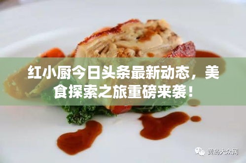 红小厨今日头条最新动态，美食探索之旅重磅来袭！