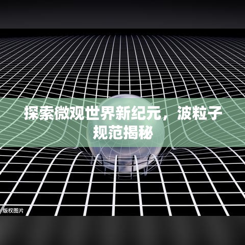 探索微观世界新纪元，波粒子规范揭秘