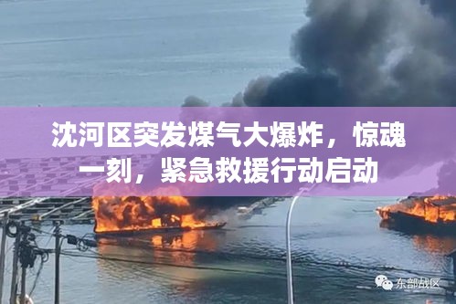 饭来张口 第2页