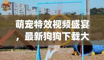 萌宠特效视频盛宴，最新狗狗下载大全，一网打尽娱乐时光