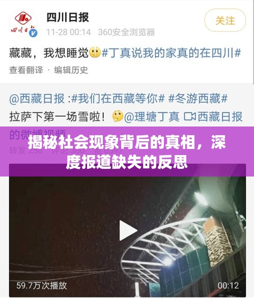 揭秘社会现象背后的真相，深度报道缺失的反思
