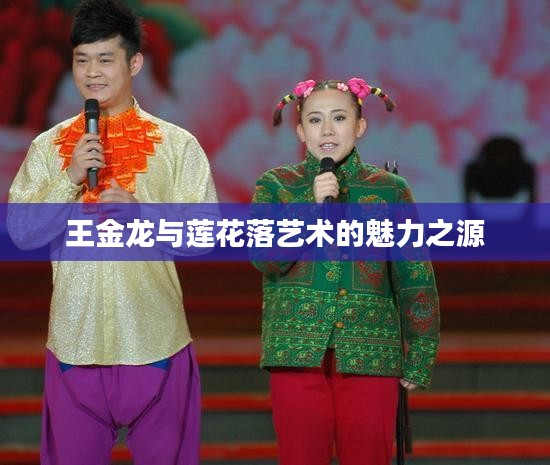 王金龙与莲花落艺术的魅力之源