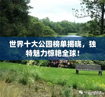 有张没智