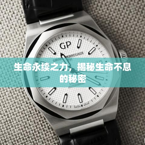 生命永续之力，揭秘生命不息的秘密