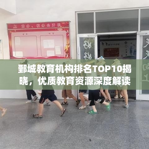 鄄城教育机构排名TOP10揭晓，优质教育资源深度解读
