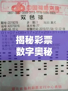 揭秘彩票数字奥秘，双色球独家预测揭秘！