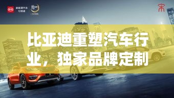 比亚迪重塑汽车行业，独家品牌定制，开启定制新纪元