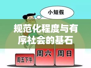 规范化程度与有序社会的基石，构建社会秩序的基石