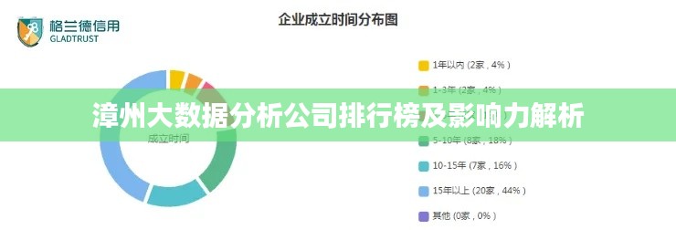 漳州大数据分析公司排行榜及影响力解析