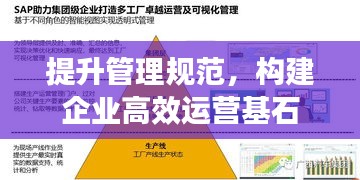 提升管理规范，构建企业高效运营基石