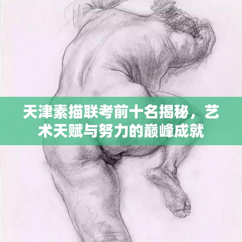 天津素描联考前十名揭秘，艺术天赋与努力的巅峰成就