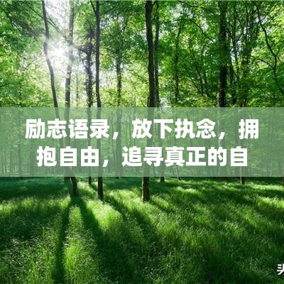 励志语录，放下执念，拥抱自由，追寻真正的自我之路