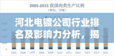河北电镀公司行业排名及影响力分析，揭秘行业巨头！