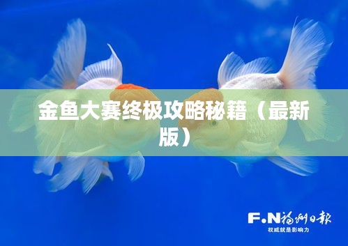 金鱼大赛终极攻略秘籍（最新版）