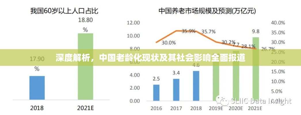 深度解析，中国老龄化现状及其社会影响全面报道