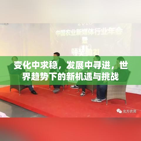 变化中求稳，发展中寻进，世界趋势下的新机遇与挑战