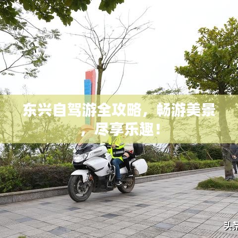 东兴自驾游全攻略，畅游美景，尽享乐趣！