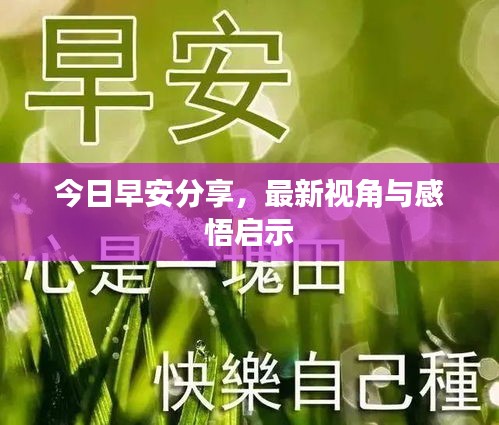 今日早安分享，最新视角与感悟启示