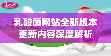 乳酸菌网站全新版本更新内容深度解析