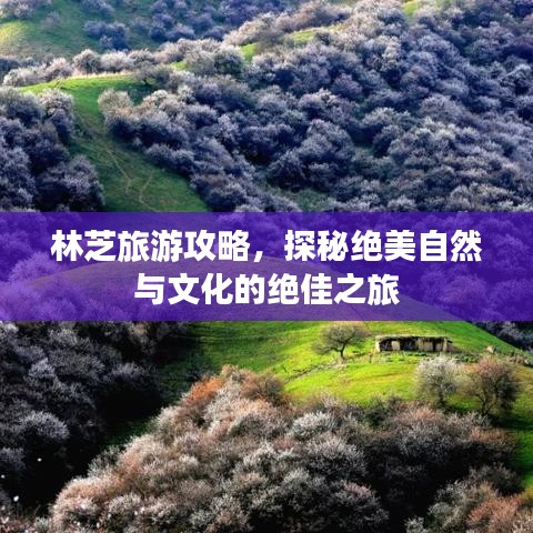林芝旅游攻略，探秘绝美自然与文化的绝佳之旅