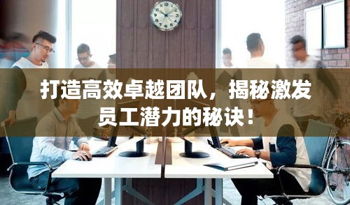打造高效卓越团队，揭秘激发员工潜力的秘诀！