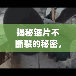 揭秘锯片不断裂的秘密，技术革新与材料科学的完美结合之道