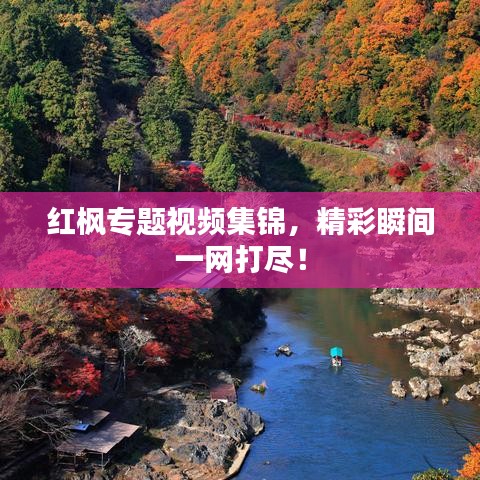 红枫专题视频集锦，精彩瞬间一网打尽！
