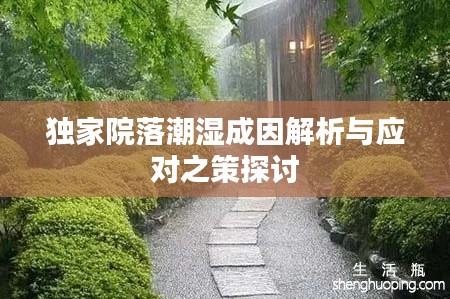 独家院落潮湿成因解析与应对之策探讨