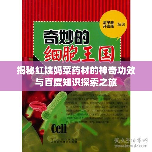 揭秘红姨妈菜药材的神奇功效与百度知识探索之旅