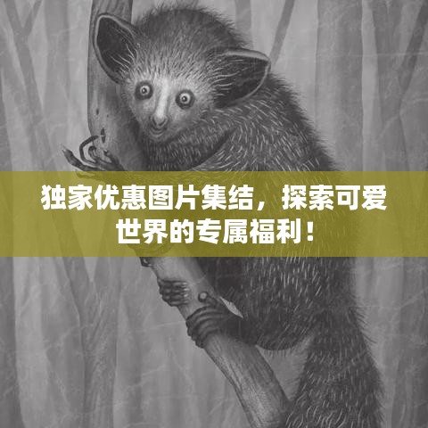 独家优惠图片集结，探索可爱世界的专属福利！