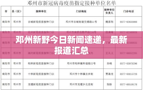 邓州新野今日新闻速递，最新报道汇总