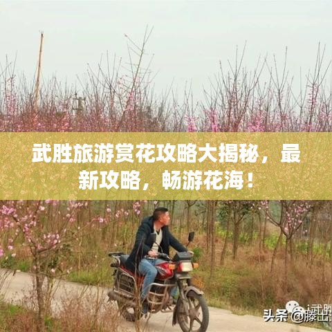 武胜旅游赏花攻略大揭秘，最新攻略，畅游花海！